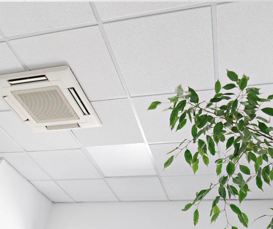 A plant next to an HVAC fan in a work environment 